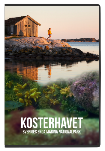 Kosterhavet — affisch