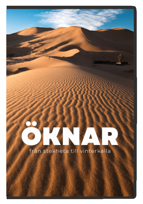 Öknar — affisch